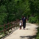 1박2일 Daum카페
