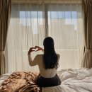 드림인바디 | 일본 후쿠오카 여행 놀곳 후쿠오카 숙소 드림인하카타