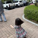 겐조 | 아기옷코디 폴로키즈 원피스 겐조 호랑이 티셔츠 무무즈에센셜 후기