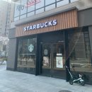 위례동로 | 스타벅스 신메뉴 카페인프리 유자배 카모마일티 붉은말 당근밭 케이크 솔직후기