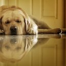 다원병원 이미지