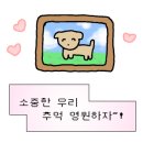 도그 포레스트 네이버블로그