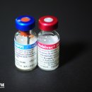 세이브동물약국 이미지