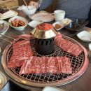 2023년 1월 희조이의 일상: 바쁘다 바빠