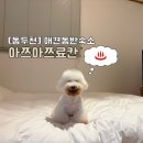 아쯔아쯔료칸 | [동두천] “아쯔아쯔 료칸” 일본감성 애견동반숙소 304호