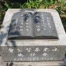 돌봄여행사 이미지
