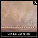 정밀화학센터진입로 | 가죽 소파 갈라짐 복원, 가죽 교체와 복원 전격 분석 비교및 후기