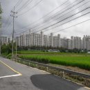 신촌4로 이미지