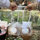 근황 : 열심히 먹고 놀기 (뽀로로를 내 인생의 모티브로)