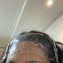 퀸헤어라인 이미지