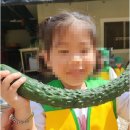 인동36길-23 네이버블로그