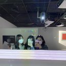 광명칼라 이미지