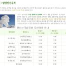 피노엔키오 이미지