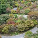 단양정육 이미지