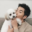 보그스튜디오 네이버블로그