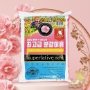 거목 - 수원시 권선구 권선로683번길 24-14 | 거목