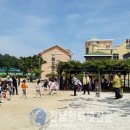 녹동초등학교 이미지