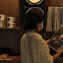 다운애견 이미지