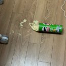 누군가에게 받은 우산이라면 더이상 필요 없어 (2025년 4월)