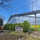 재주농장 | 제주도 4월 귤따기 체험 입장료저렴한 서귀포 '봉봉감귤체험농장'