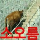 포시즌인사이드 이미지