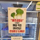 밥심면심