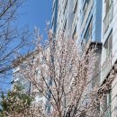 중흥아파트 | 순천 신대 중흥2차 아파트 33평 전체도배 후기｜이사 전 하루 시공 현장