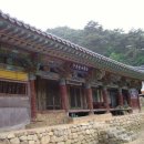 삼배통