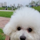 덕수공원 네이버블로그