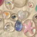 멍블랑 반려견미용실 이미지