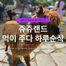 쥬쥬비 | 고양 아이와 가볼만한곳, 동물 교감 체험 가능한 쥬쥬랜드 후기 | 주차·이용요금·소요시간 정보