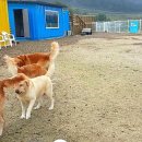 둘리유치원 이미지