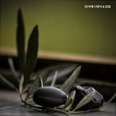 대한메디케어 | 정자동요양원 정자메디케어요양원 가족같은 분위기 제공