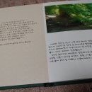 가족나무 이미지