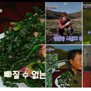 초원농산 이미지