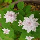 가오농장 이미지