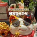 왕양하오하오 이미지