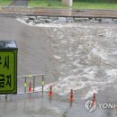 태암교 인근 팔거천