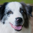 나의미래피부과의원 이미지