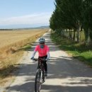 싼티아고 이미지