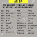 참나무숯 네이버블로그