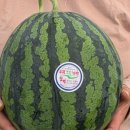 우곡농장 이미지