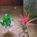 오정구 까치로20번길 13-7 이미지