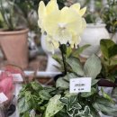 대화할인마트 이미지