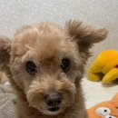 희성 노래연습장 네이버블로그