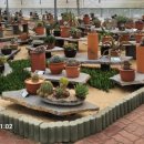 농업기술센터(농업전시관) 이미지