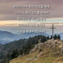 사랑의 확증-롬5:8 이미지