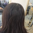 살롱드 메르시 이미지