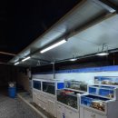 동진로49번길 | 진해 석동 술집 “해물관리공단” 싱싱한 생새우회•새우머리튀김•돌멍게까지 회식모임 추천