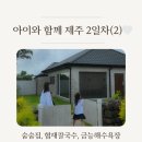 CU방이방산점 | 9월 제주 아이와 함께한 숨숨집 협재칼국수 금능해수욕장 솔직후기